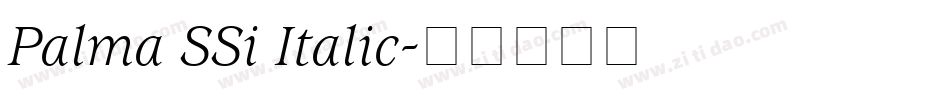 Palma SSi Italic字体转换